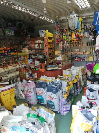 Sklep Zoo-Logiczny KAMI